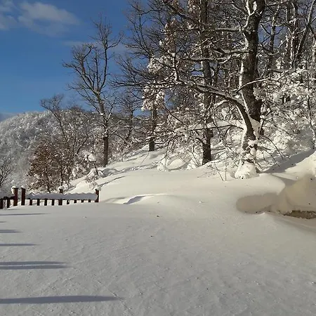 Casa Immersa Nel Verde Holiday home *