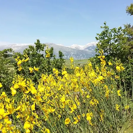 Holiday home Casa Immersa Nel Verde *