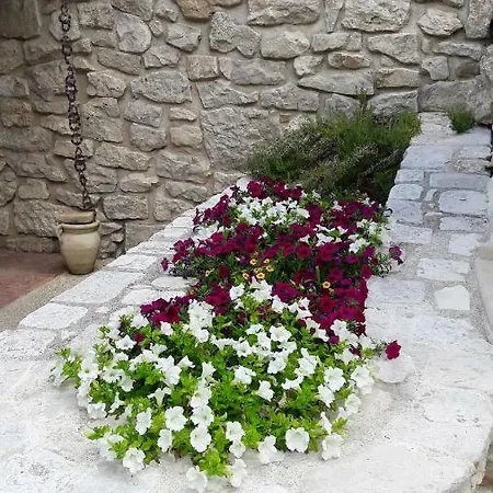 Casa Immersa Nel Verde *