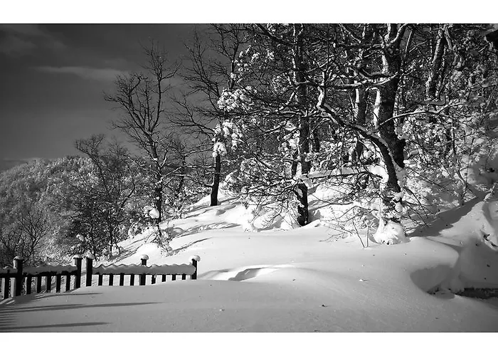 Casa vacanze Casa Immersa Nel Verde