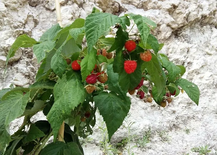 Casa vacanze Casa Immersa Nel Verde Torricella Peligna