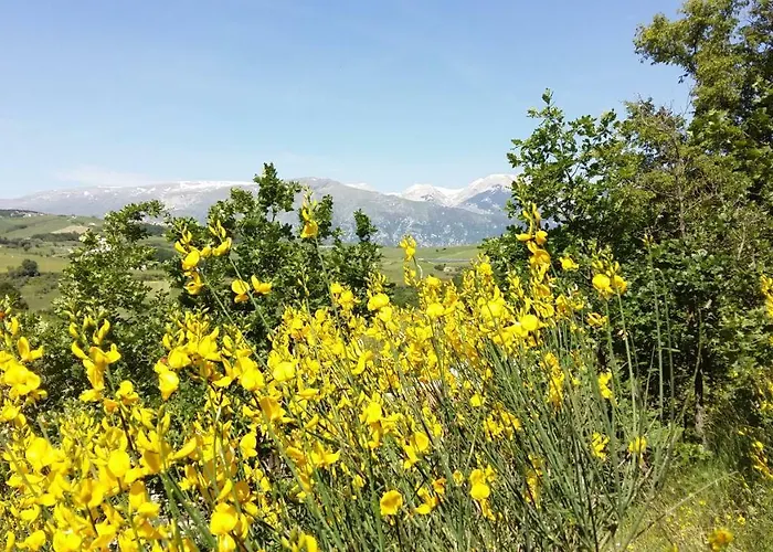 Casa vacanze Casa Immersa Nel Verde *