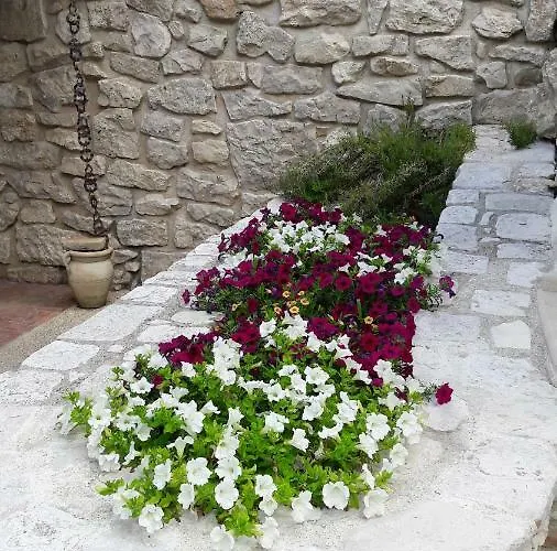 Casa Immersa Nel Verde *